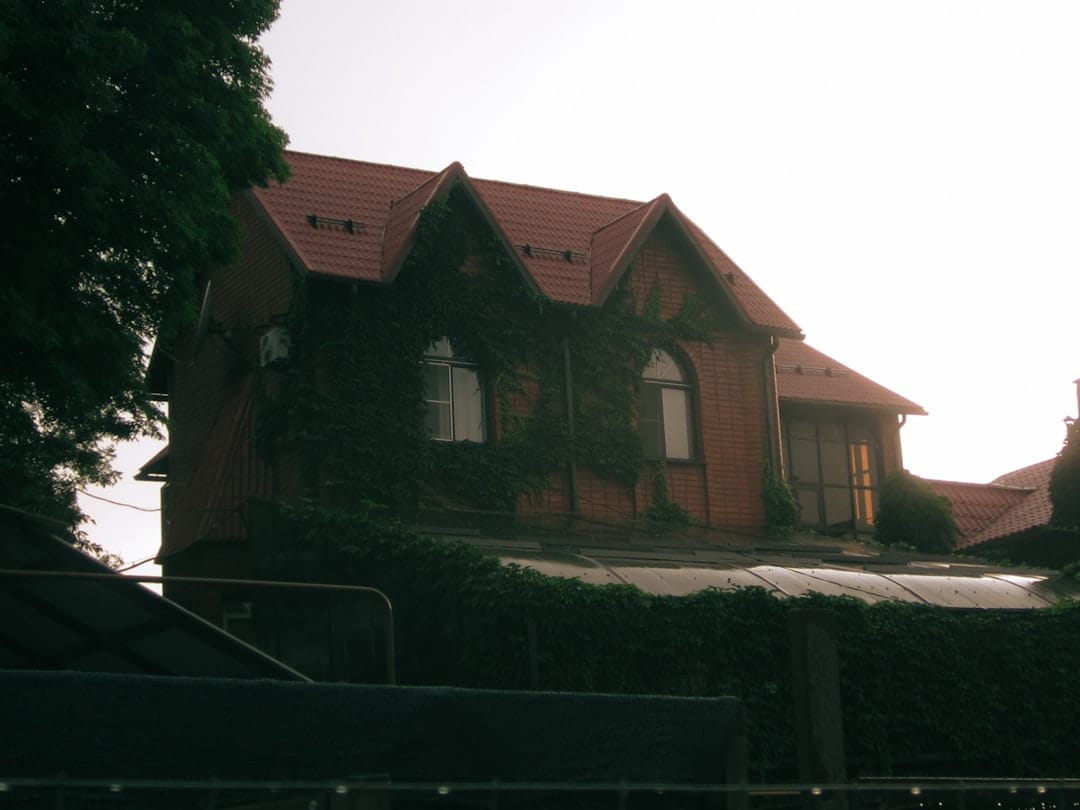Red-roofed house covered in green ivy.
