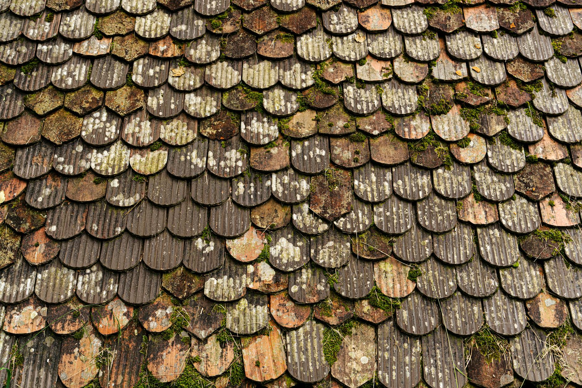 Close-up of weathered roof tiles with moss growth in Lausanne, Switzerland.