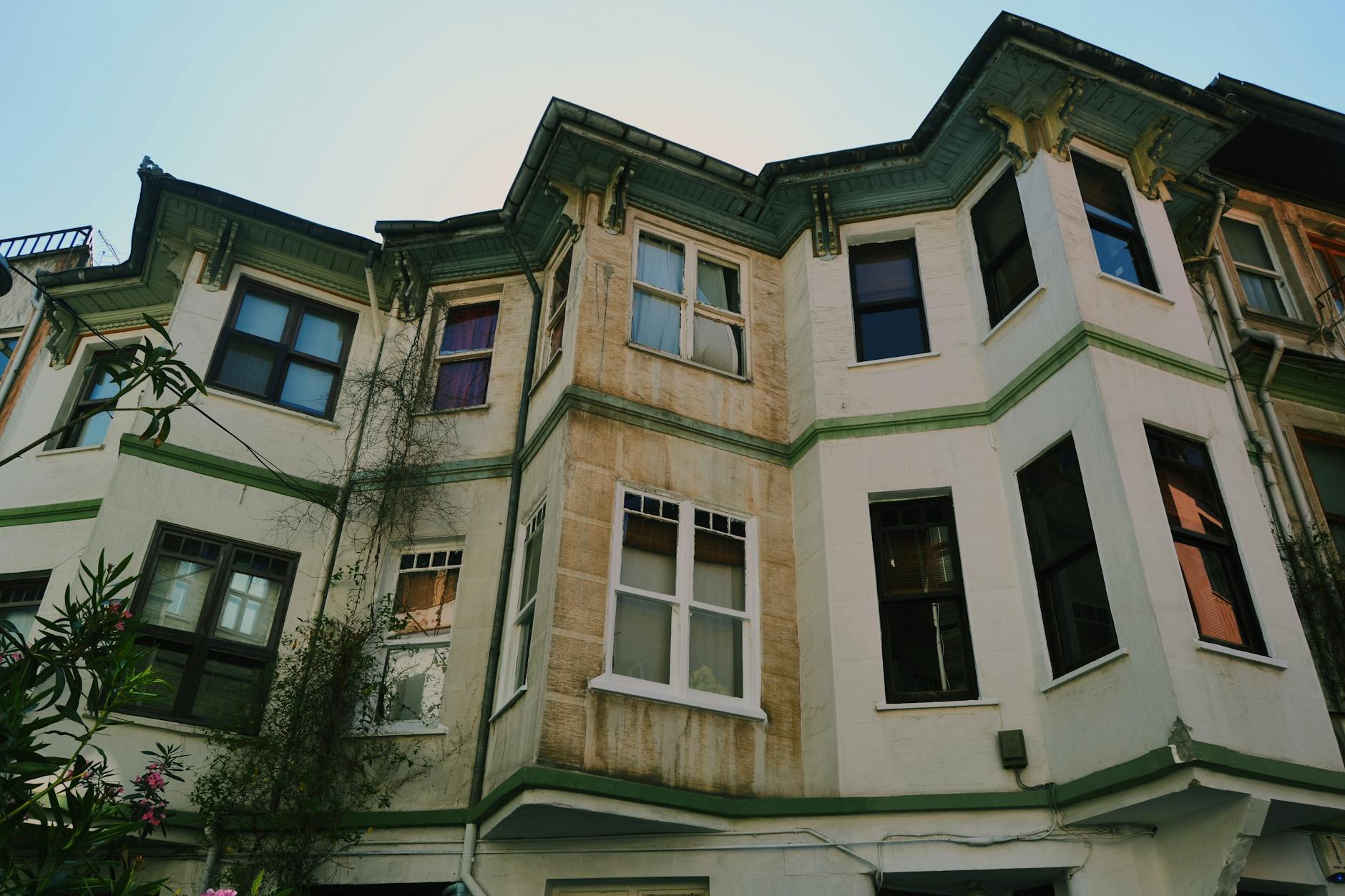 Low angle view of historic terraced houses with vintage windows and greenery.