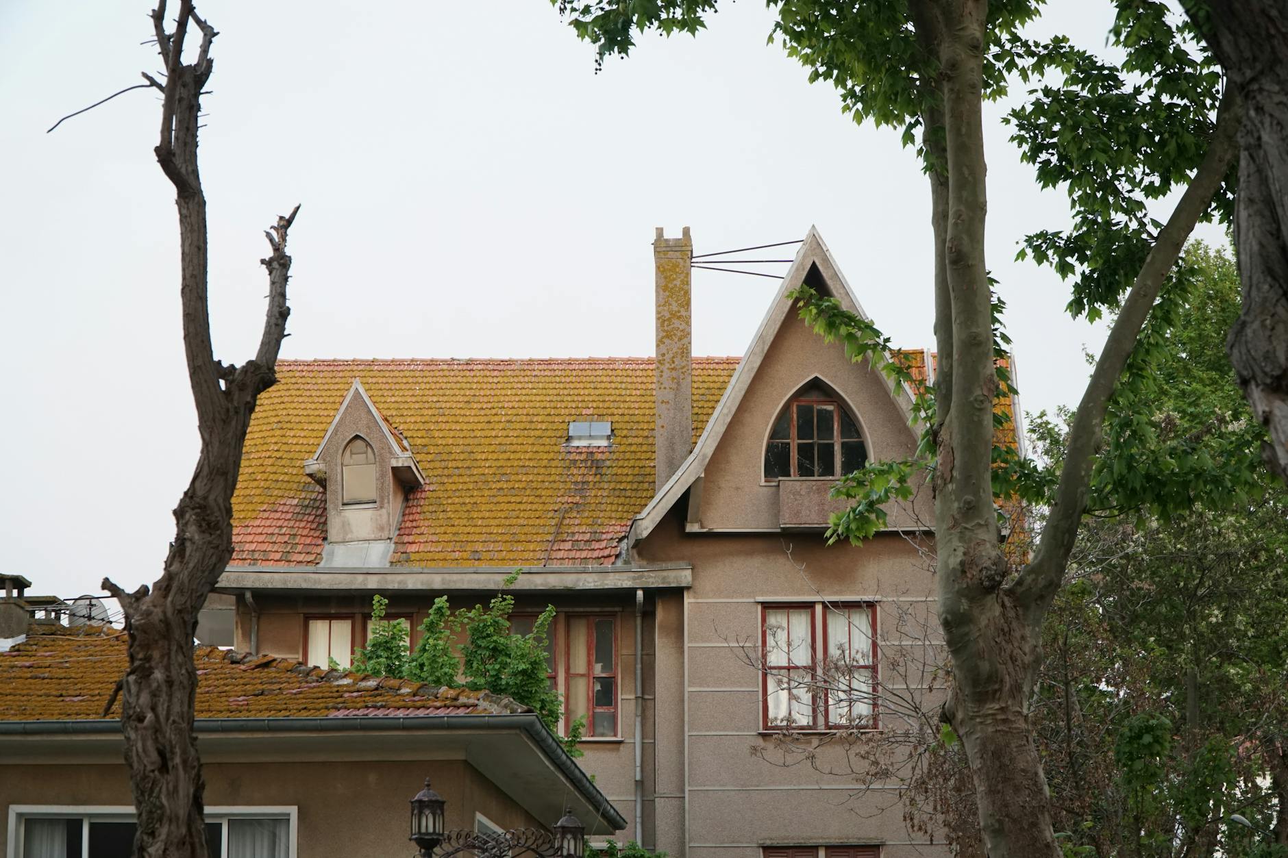 A close-up of a vintage house exterior with a rustic, orange-tiled roof surrounded by trees.